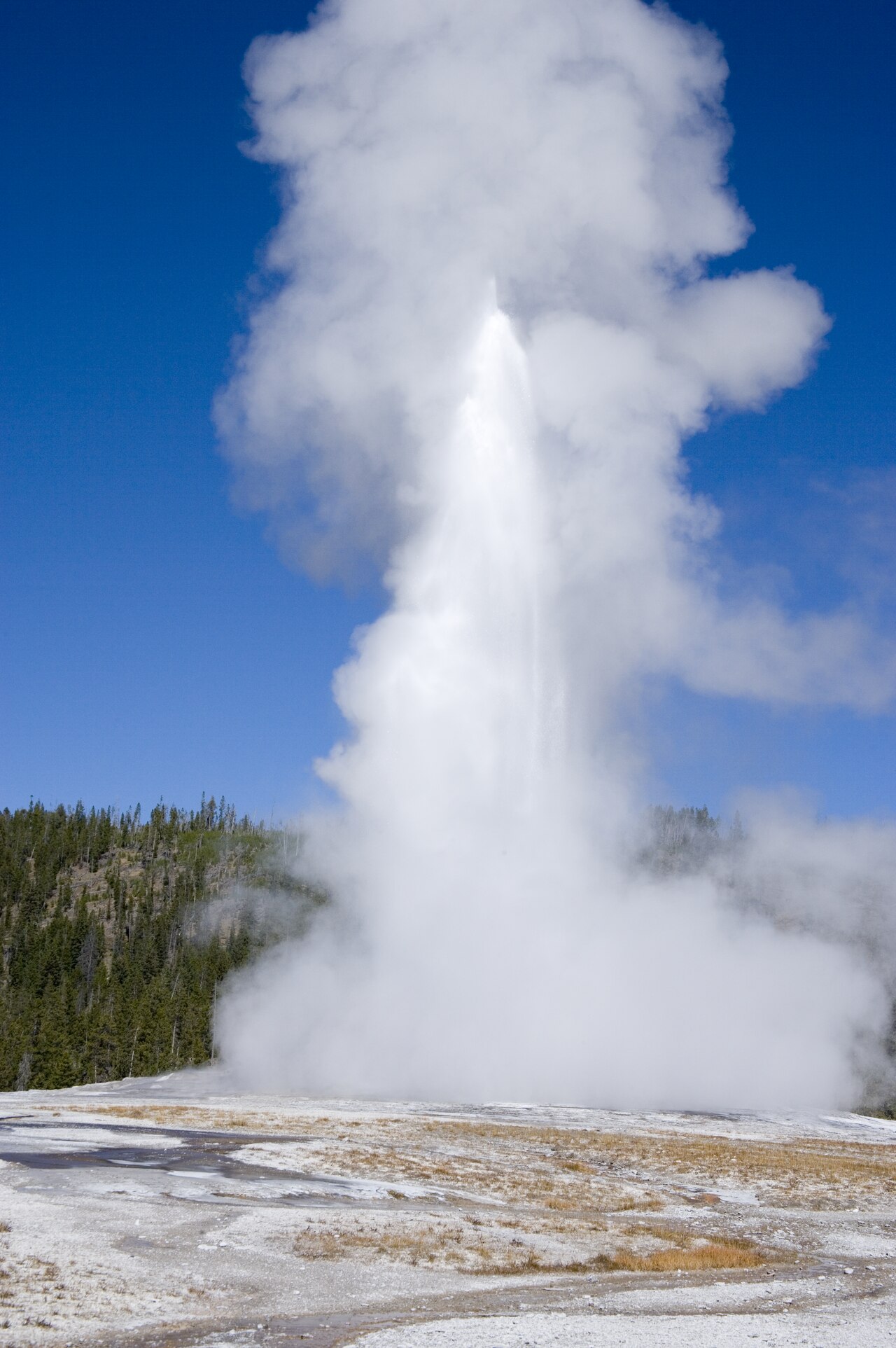 Title: Old Faithful Geyser, Yellowstone National Park, Wyoming
Physical description: 1 photograph : digital, TIFF file, color.

Notes: Title, date, and subjects provided by the photographer.; Gift and